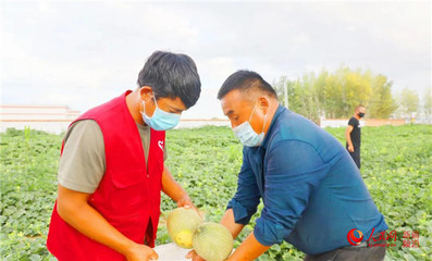 新疆阿勒泰各地助力农牧民销售果蔬